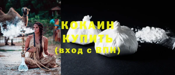 молекула духа Пестово