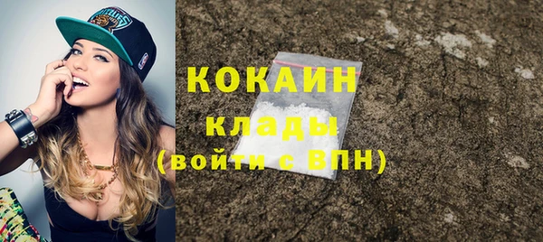 молекула духа Пестово