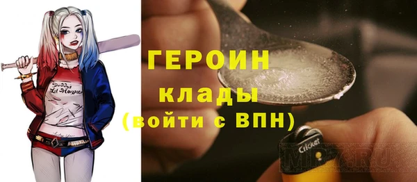 молекула духа Пестово