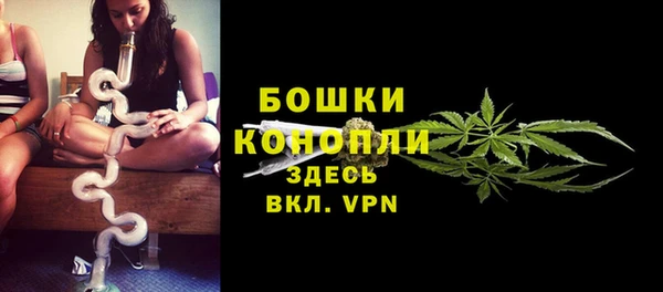 молекула духа Пестово
