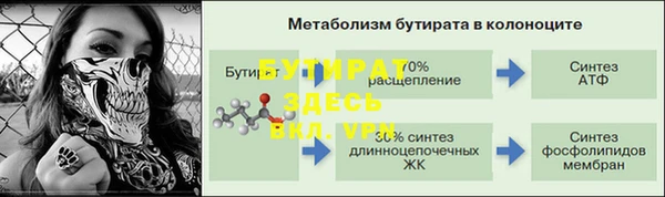 PSILOCYBIN Гусиноозёрск