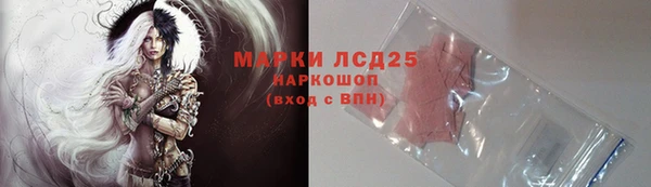 молекула духа Пестово
