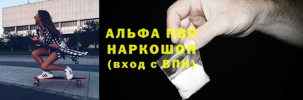 молекула духа Пестово