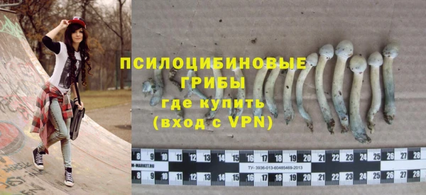 молекула духа Пестово