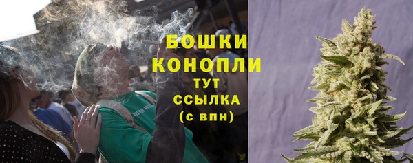 молекула духа Пестово